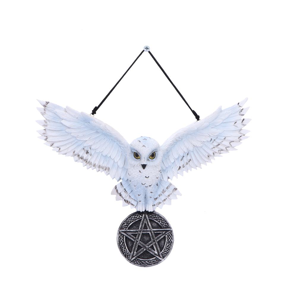 Schneeeule Wandhänger mit Pentagramm – Fantasy Talisman 20,5 cm
