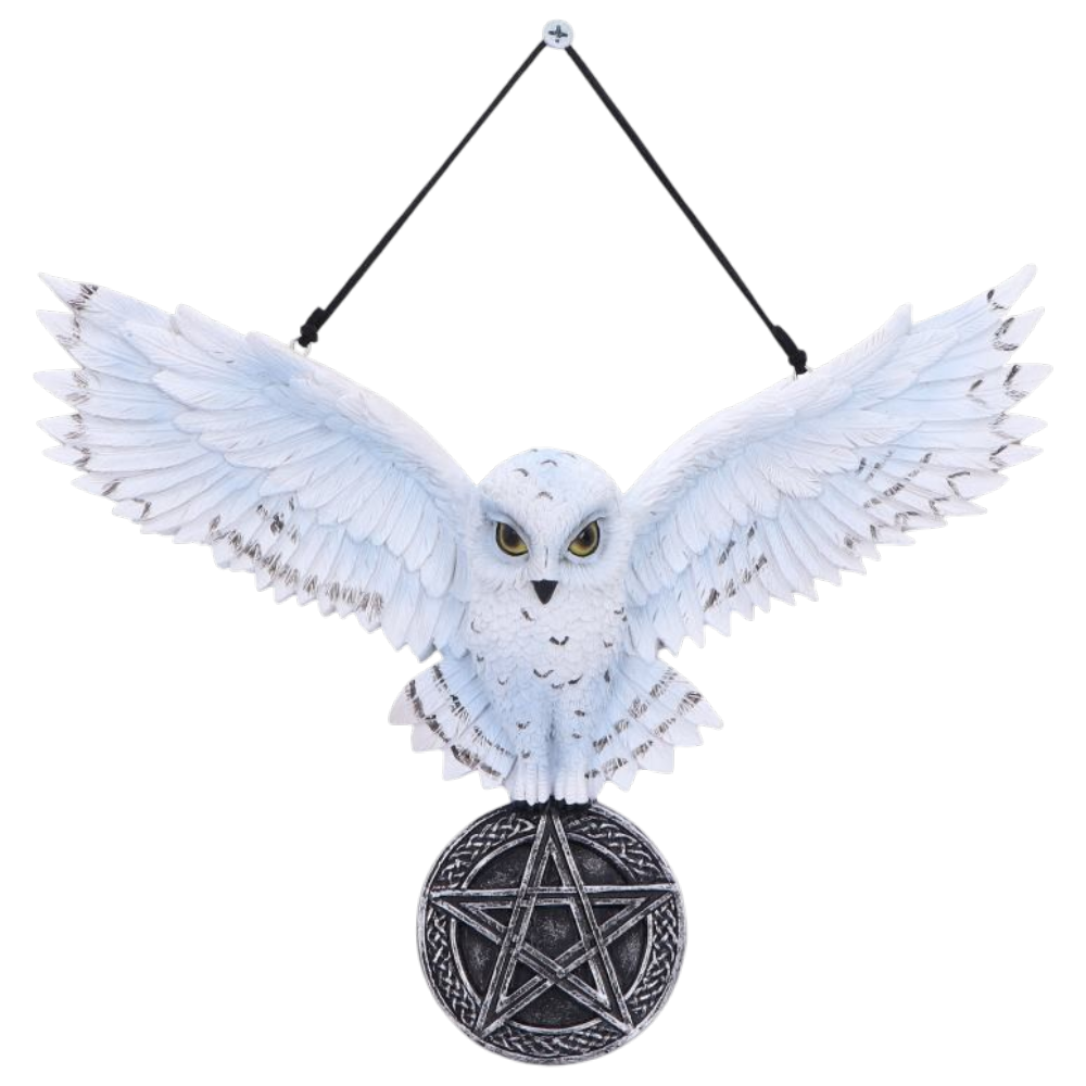 Schneeeule Wandhänger mit Pentagramm – Fantasy Talisman 20,5 cm